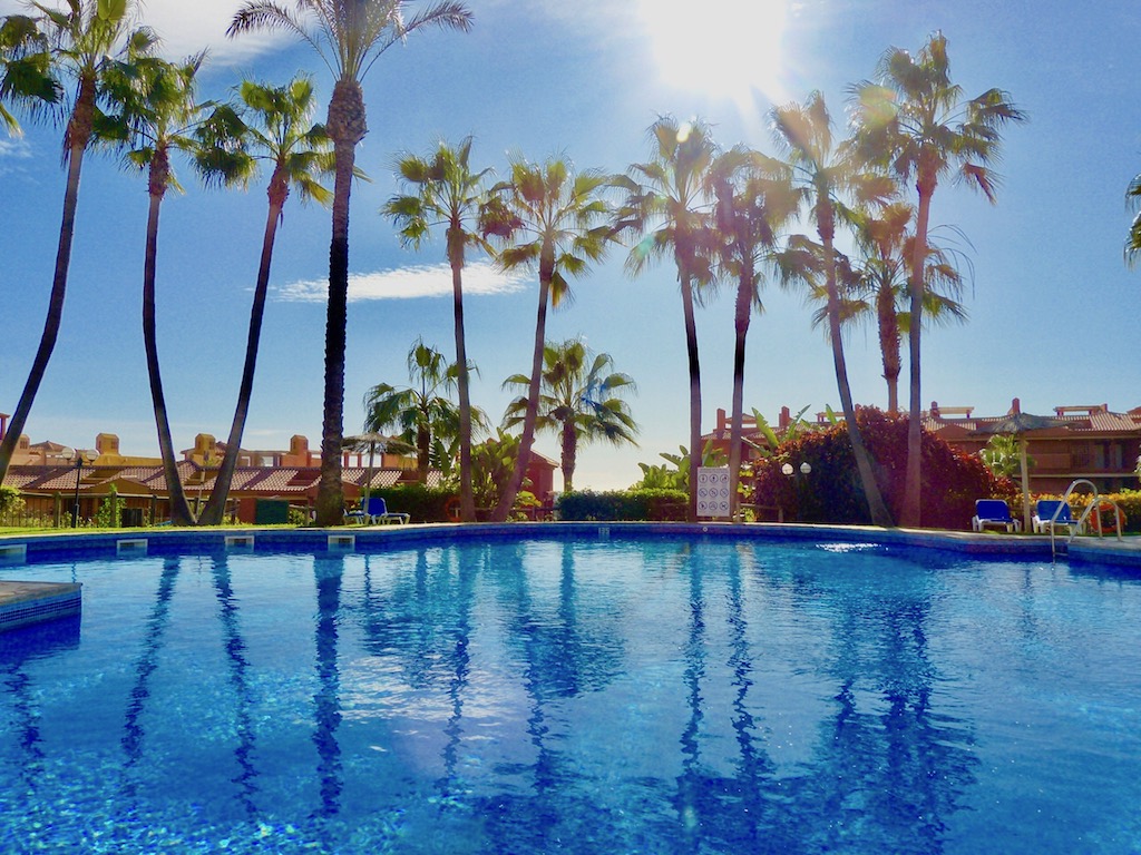 Piscina rodeada de palmeras en La Reserva de Marbella