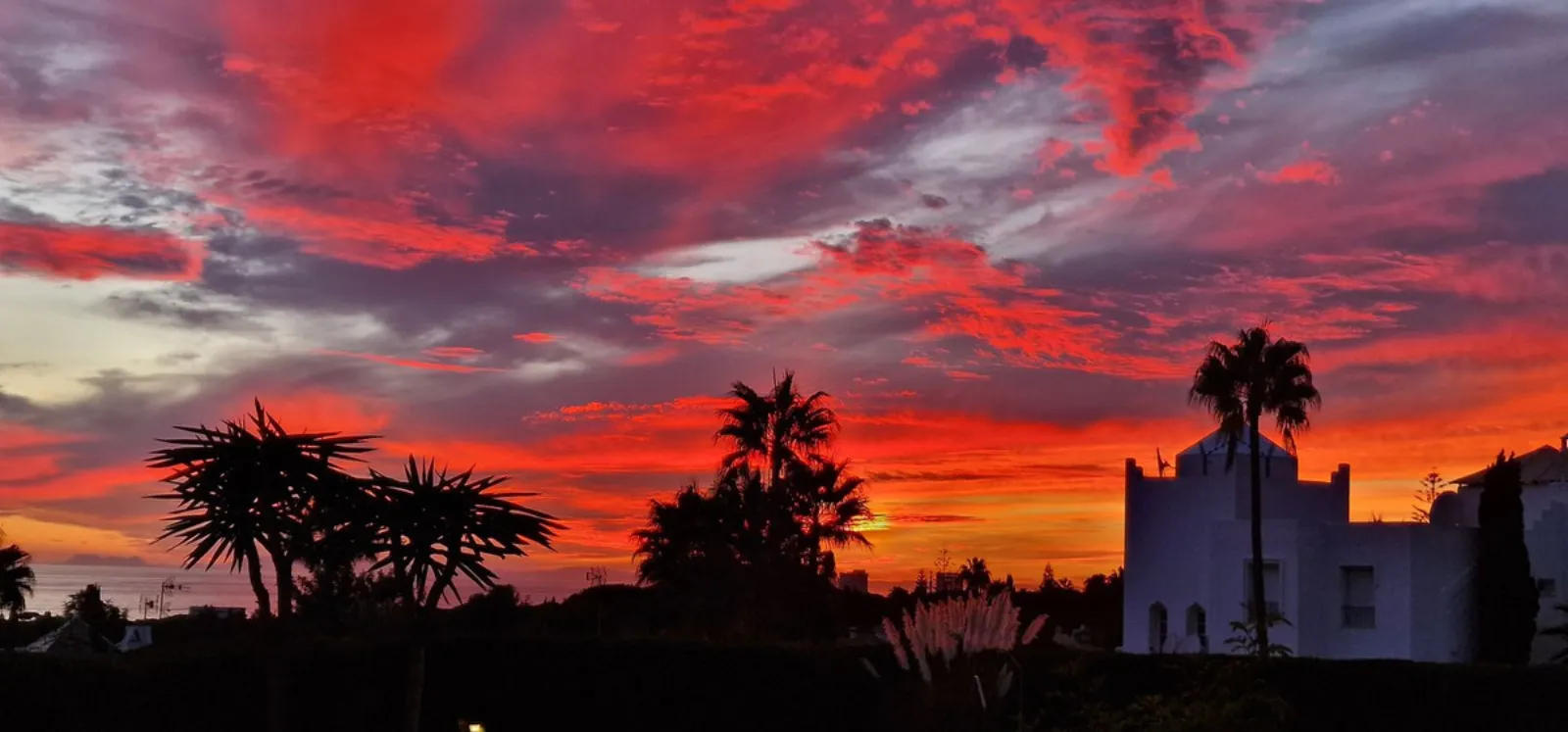 Una esquina con jardín en Tobago · fotografía 3