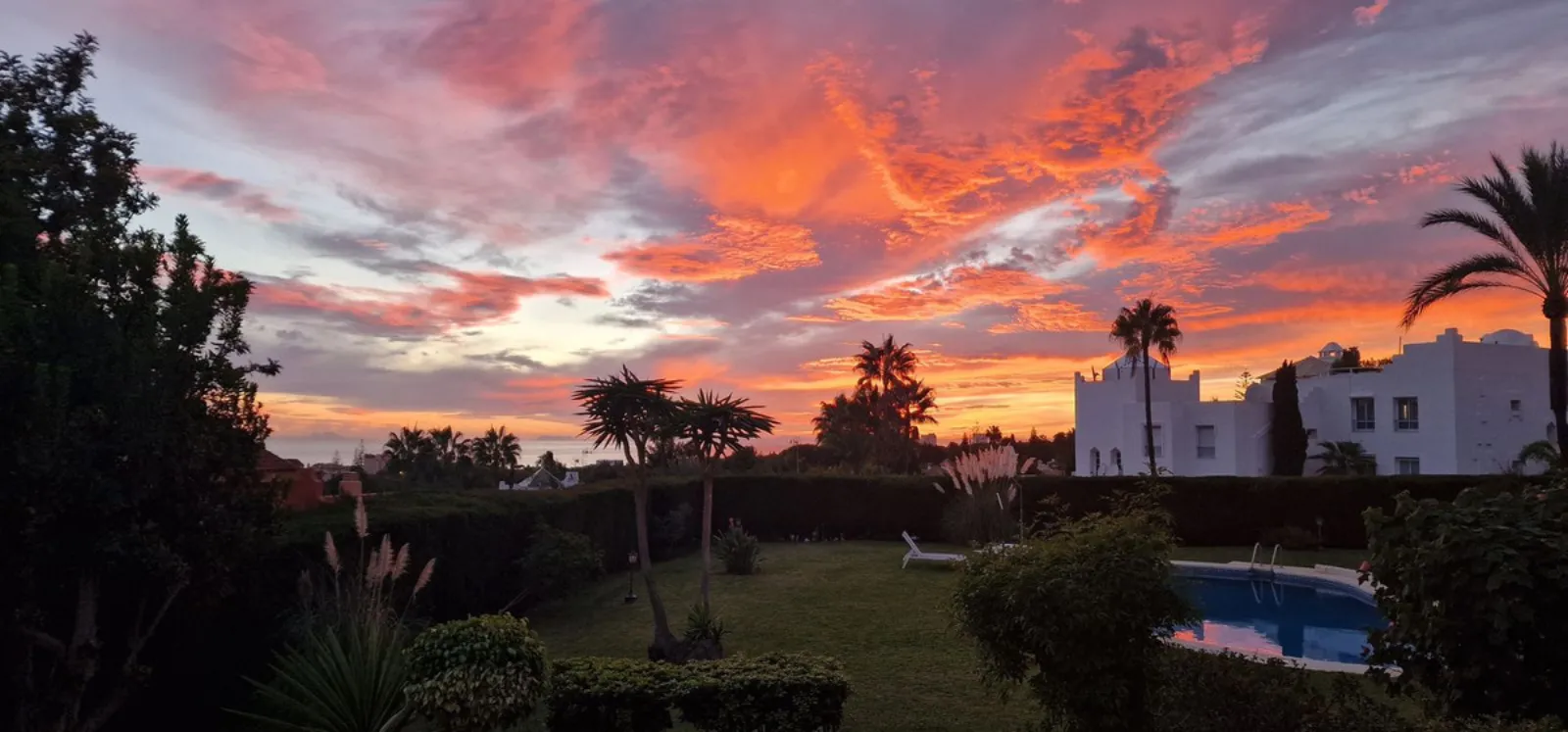 Una esquina con jardín en Tobago · fotografía 4