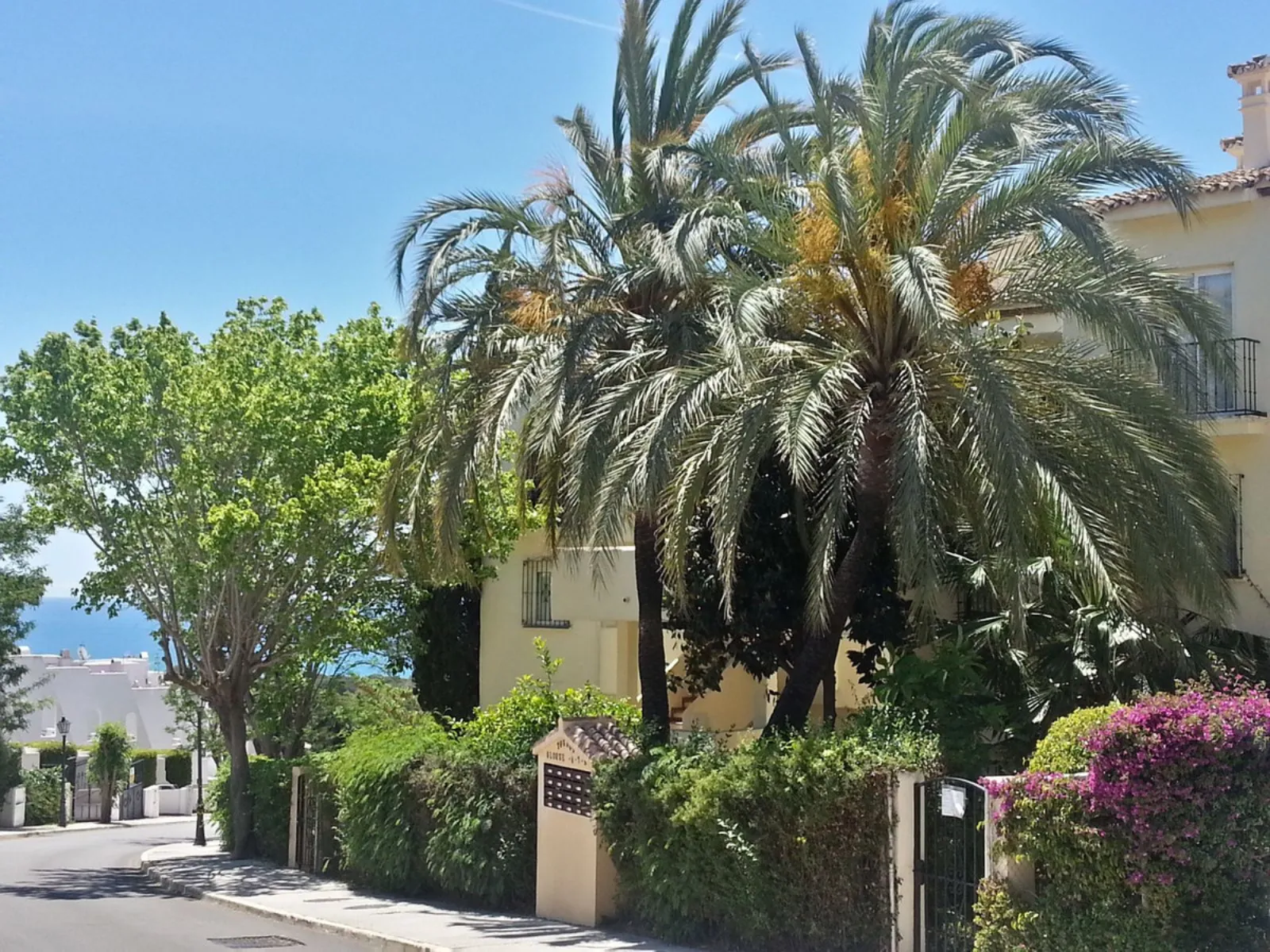 Una esquina con jardín en Tobago · fotografía 5